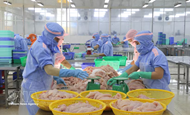 Vietnamese goods gain wider access to E.U. market